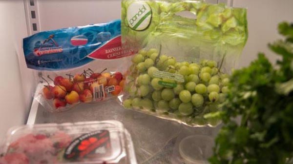 Hướng dẫn bảo quản thực phẩm tươi ngon trong tủ lạnh